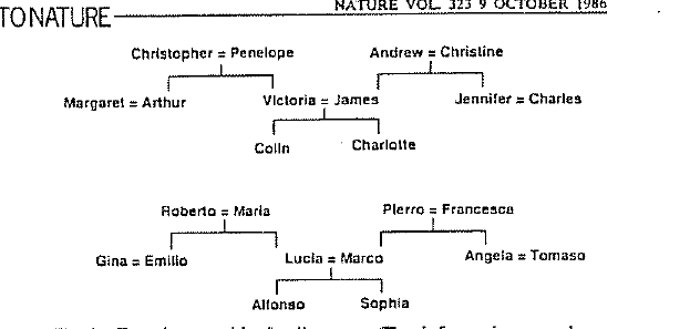 backprop-family-trees.png